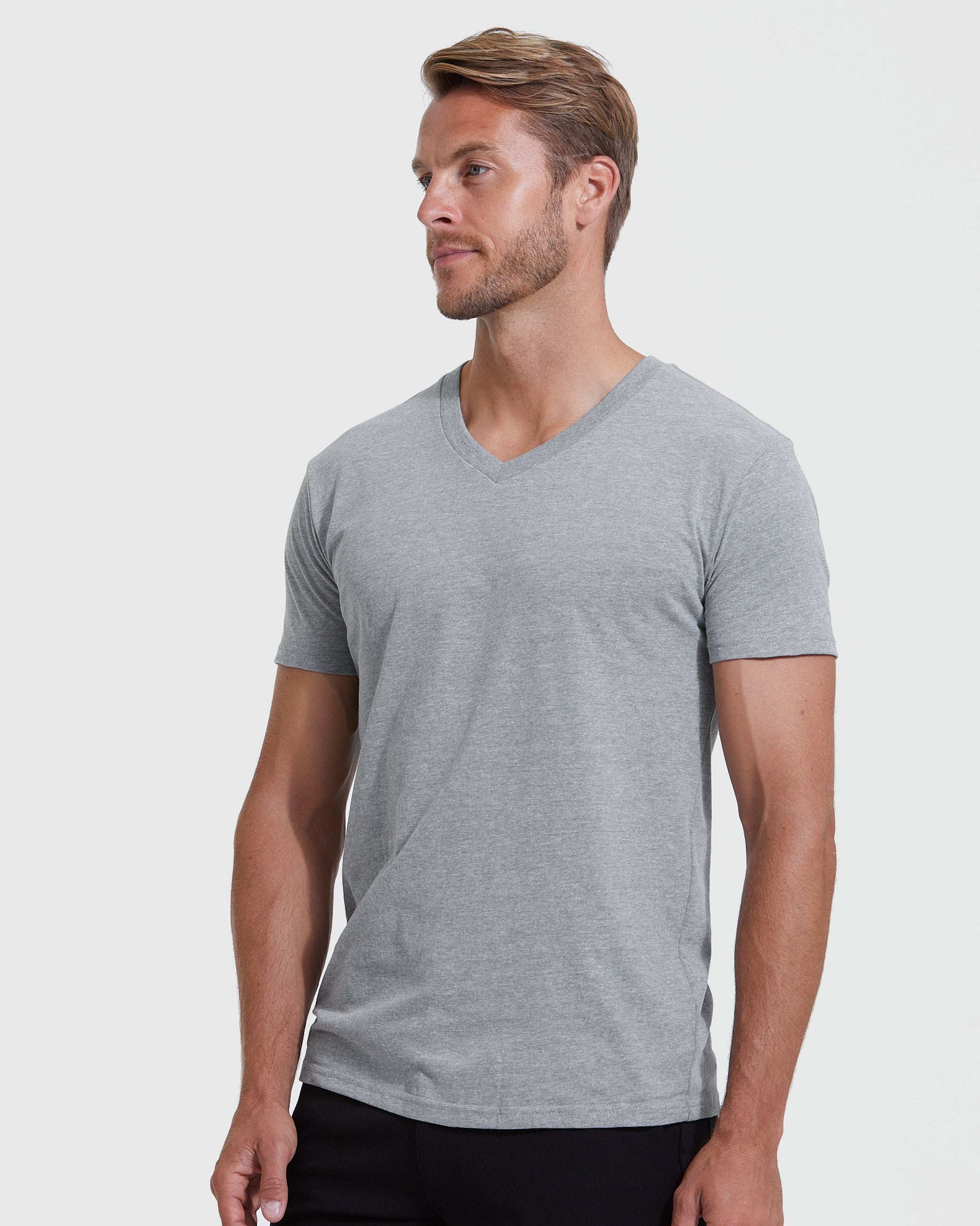 Heather Gray V-Neck T-Shirt – True Classic