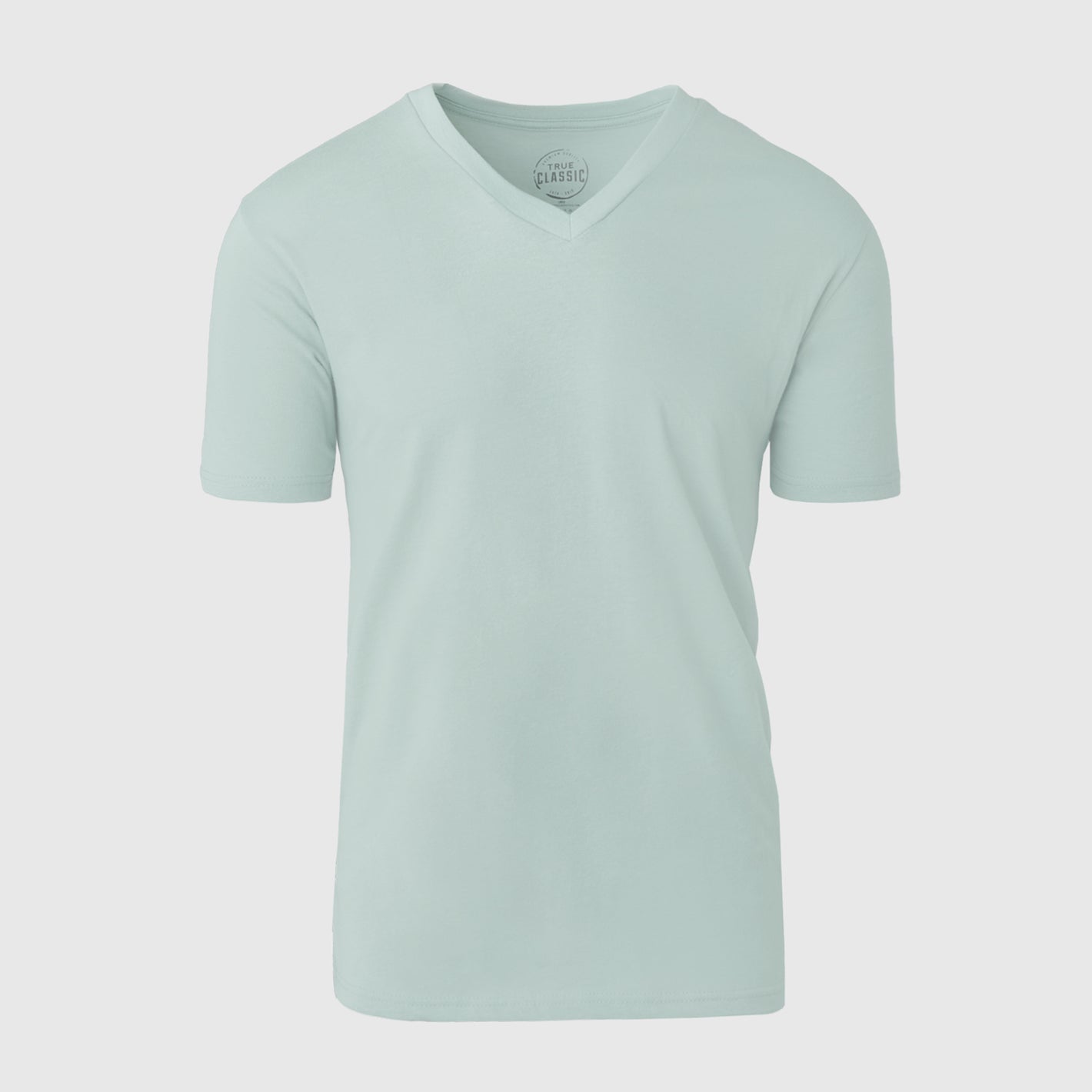 Sage V-Neck Tee, light mint-green, short-sleeve, premium fitted design.